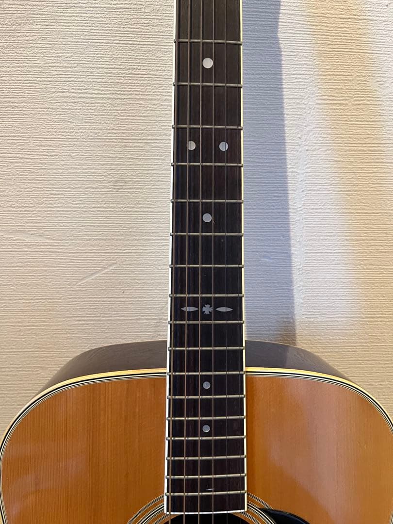 Cat's Eyes CE-200 アコースティックギター　ケース付き