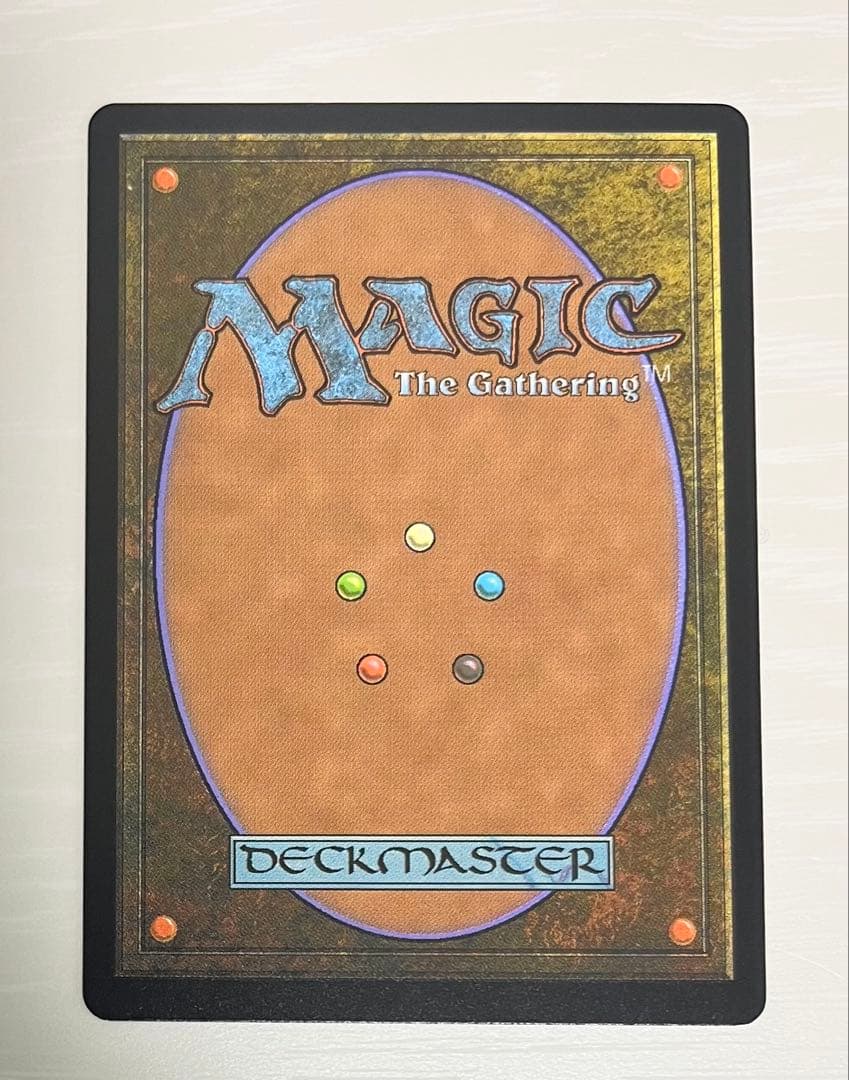 MTG 湿った墓 EXP