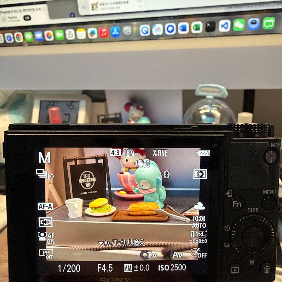 SONY Cyber-shot DSC-RX100M6 動作確認済