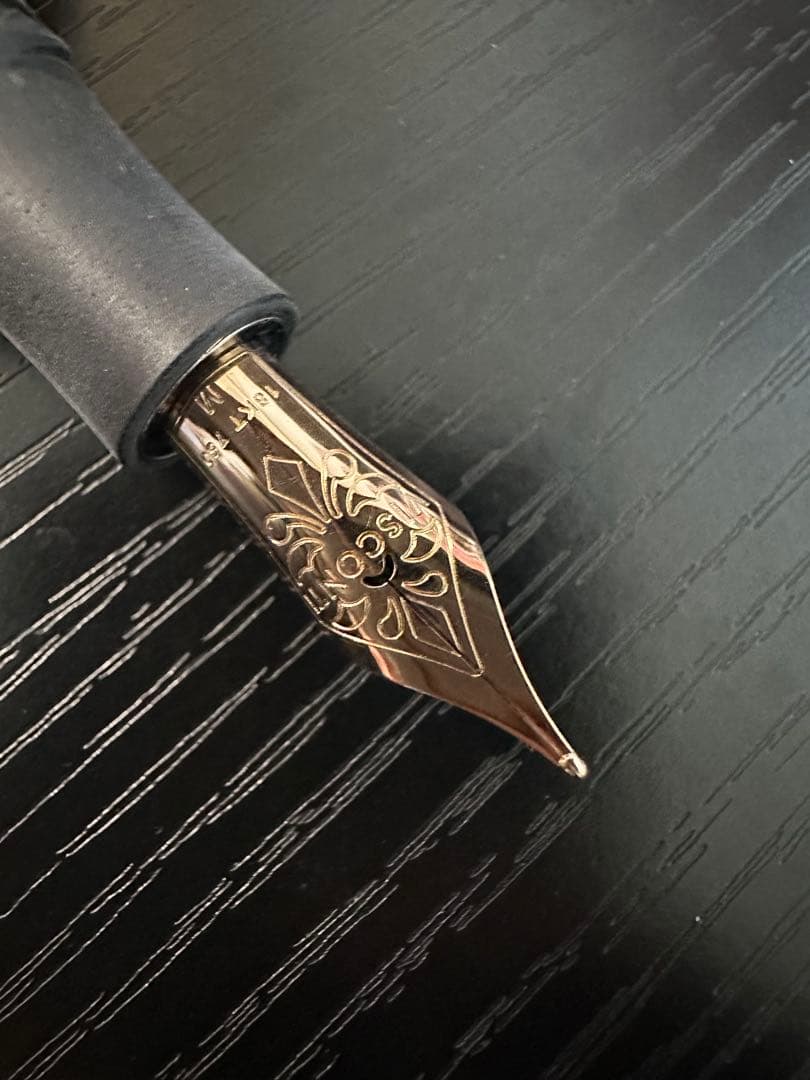 VISCONTI ホモサピエンス ブロンズ 万年筆 専用ボックス付き