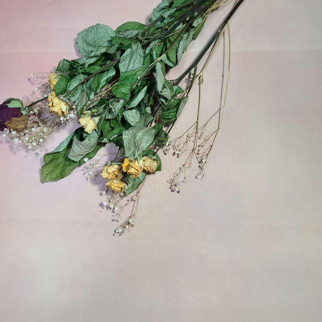 ブライスアウトフイット(なお♥️)