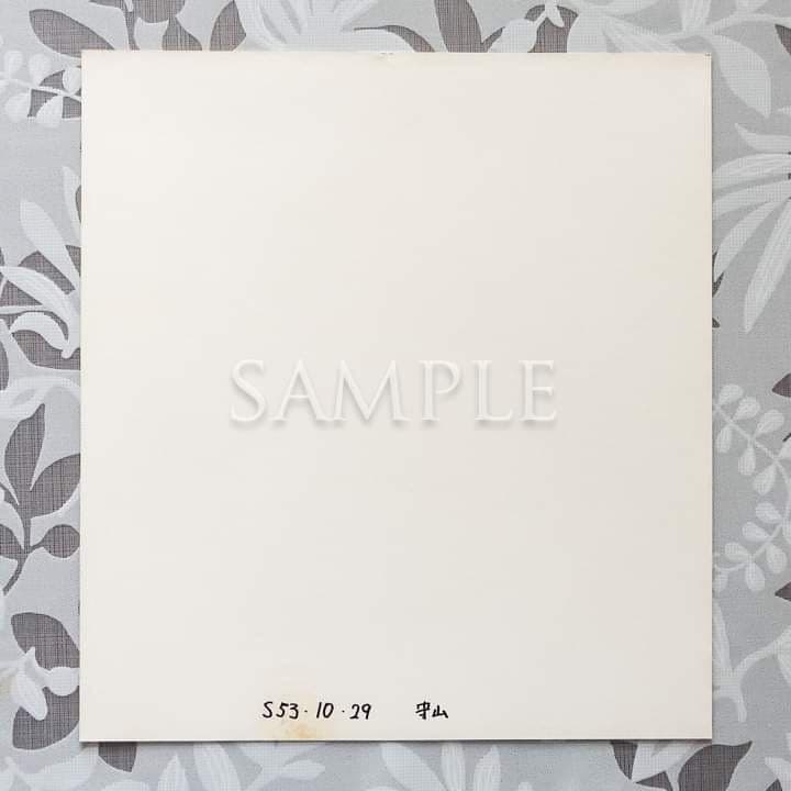 石野真子失恋記念日シングルレコード＆サイン＆生写真２枚