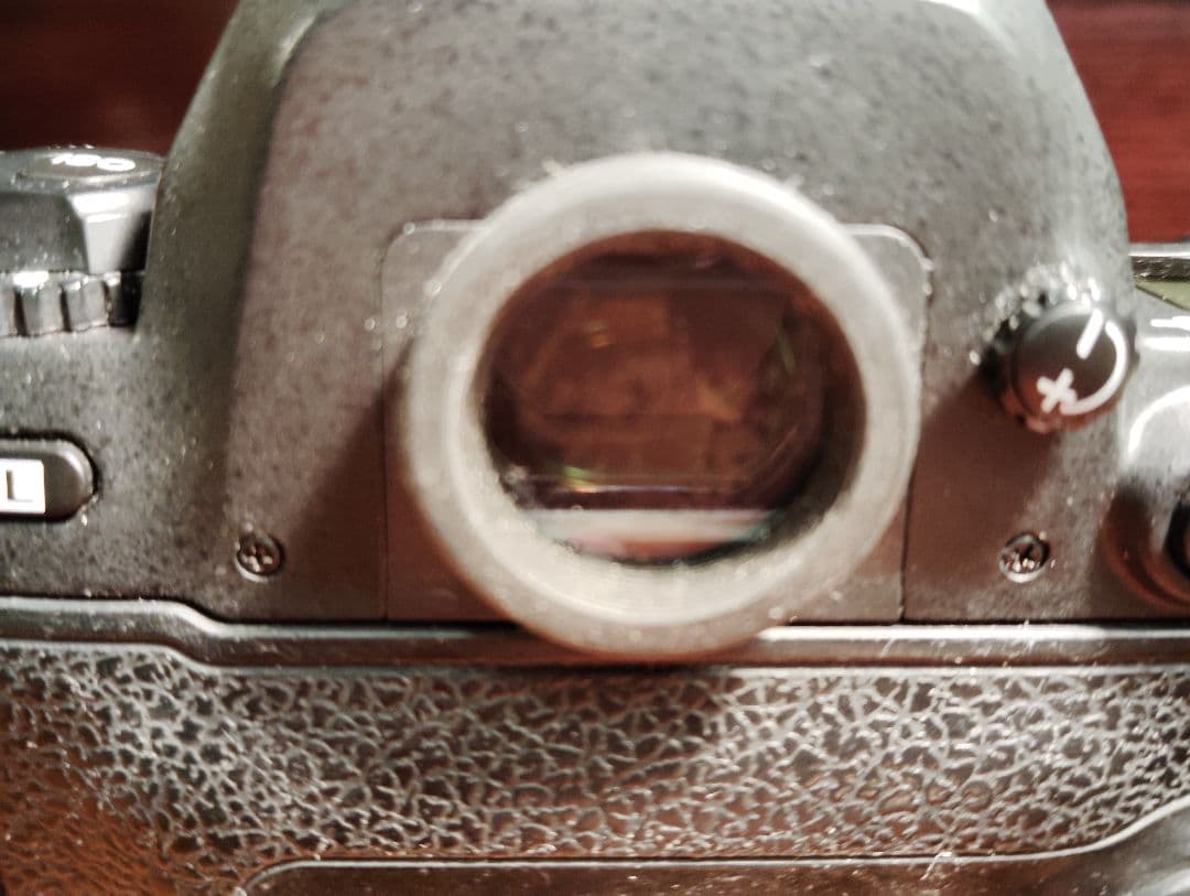 Nikonf100 本体のみ