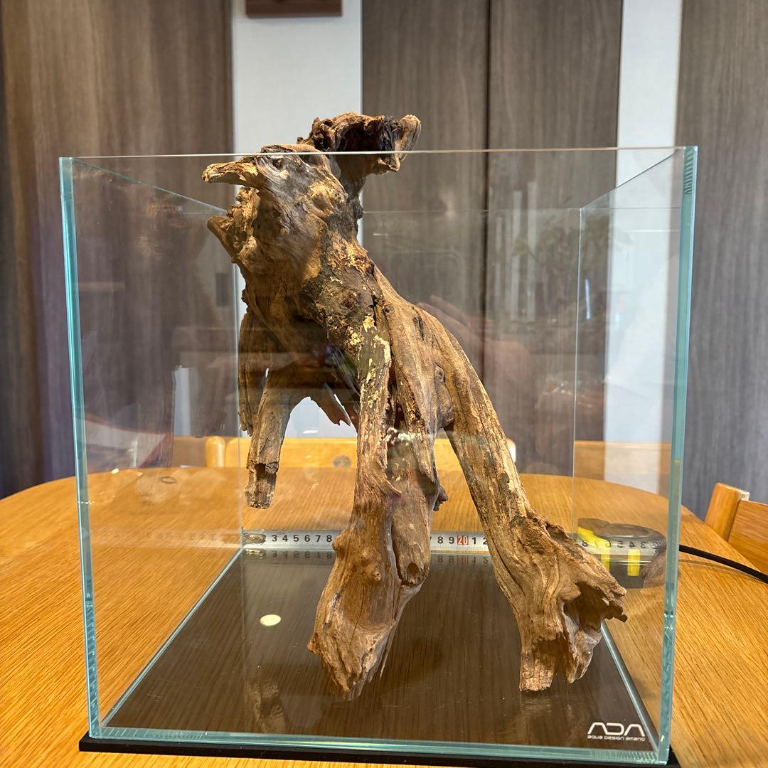 ADA流木　＊まとめ買いの場合は300円引き