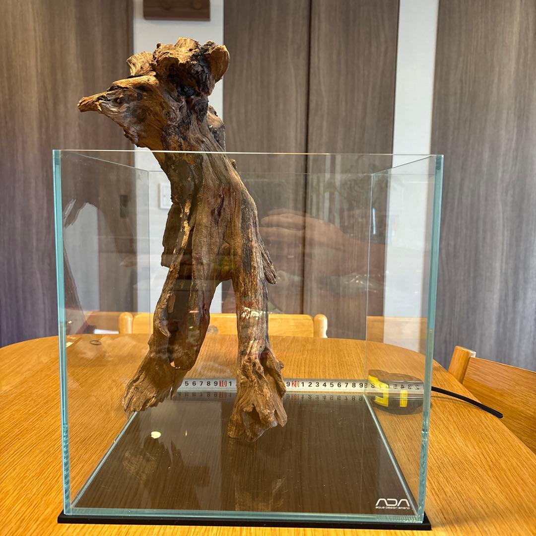 ADA流木　＊まとめ買いの場合は300円引き