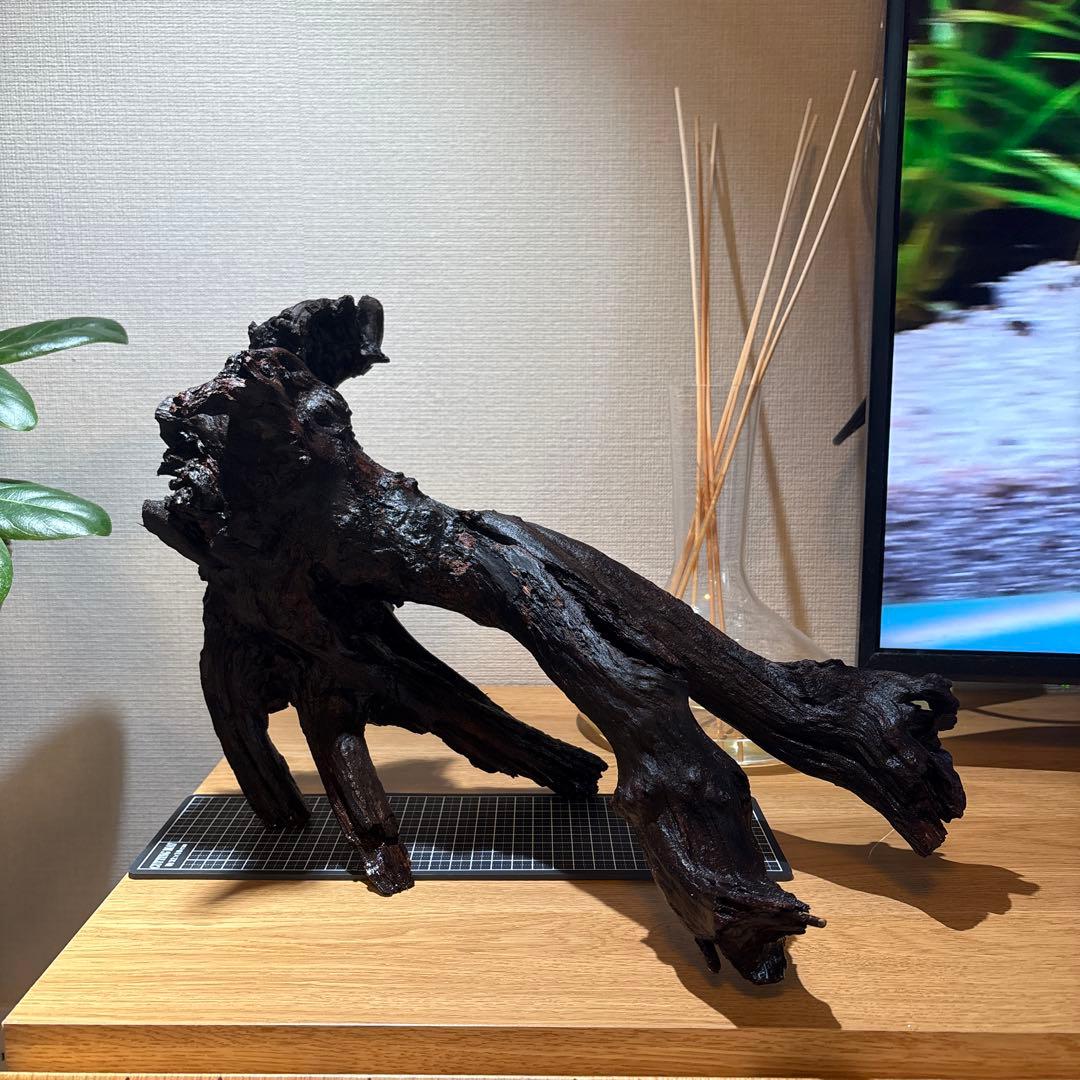 ADA流木　＊まとめ買いの場合は300円引き