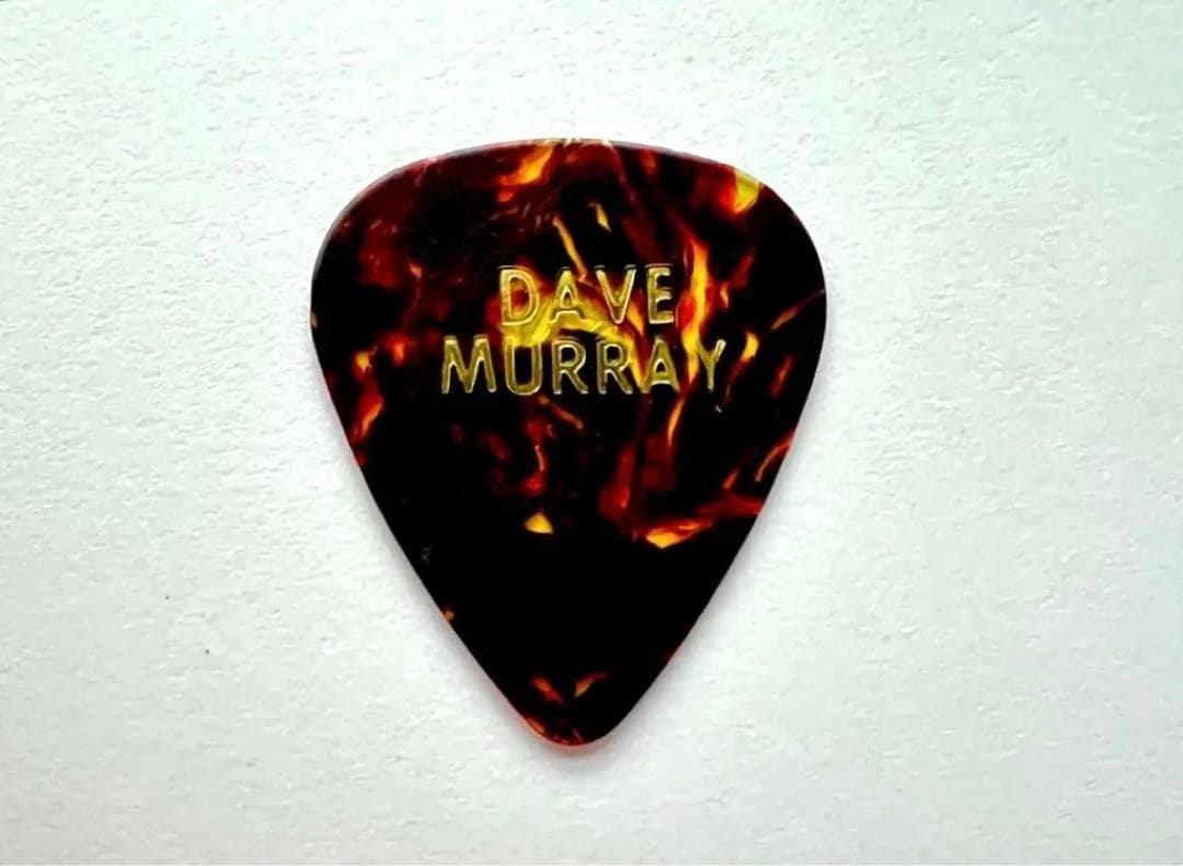 【希少】 Iron Maiden/Dave Murray/Guitar Pick
