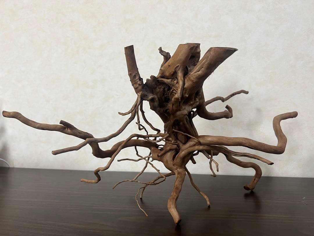 22321 ブランチウッド　流木　アクアリウム 沈水確認済