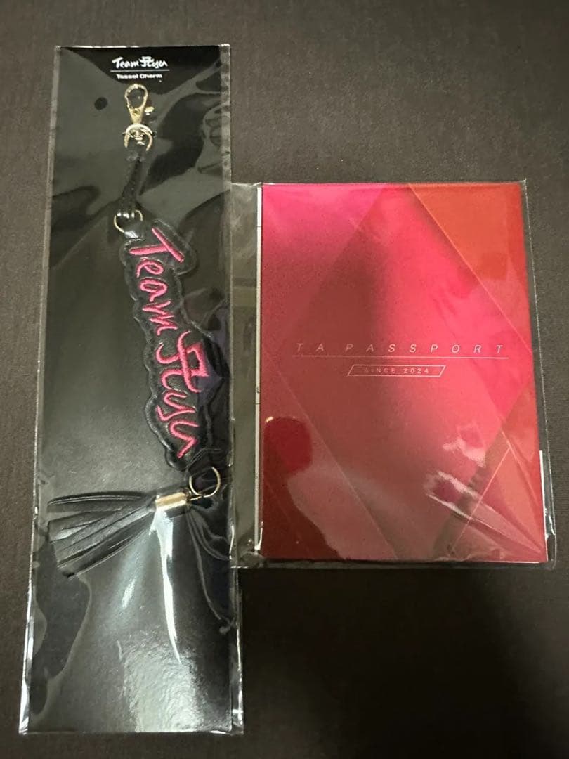 浜崎あゆみ TAパスポート カード チャーム 限定グッズ