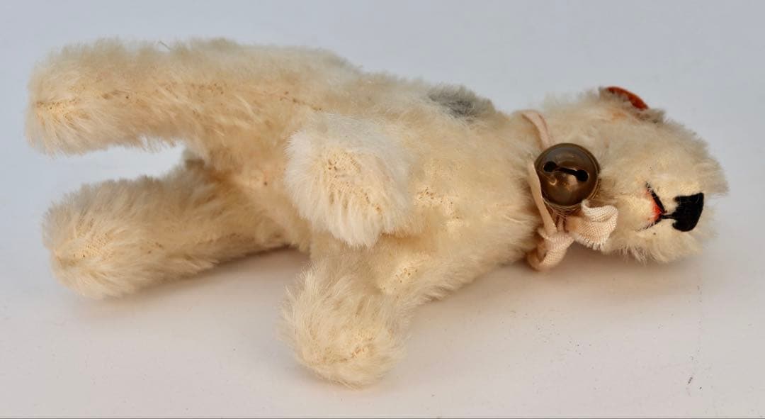 1954 FoxyTerrier シュタイフ・ビンテージ品 10cm ボタン無し