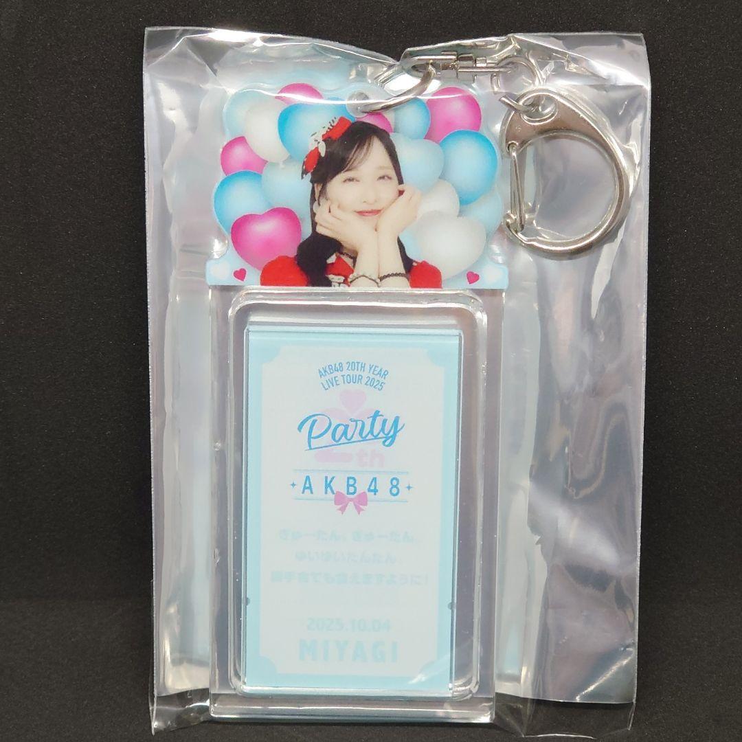 【Y】 AKB48 ライブツアー キーホルダーセット
