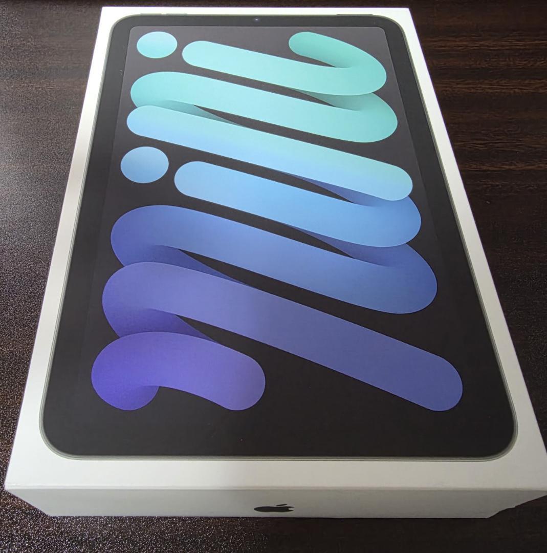 美品 iPad mini 7世代 A17 Pro 128GB Wi-Fi