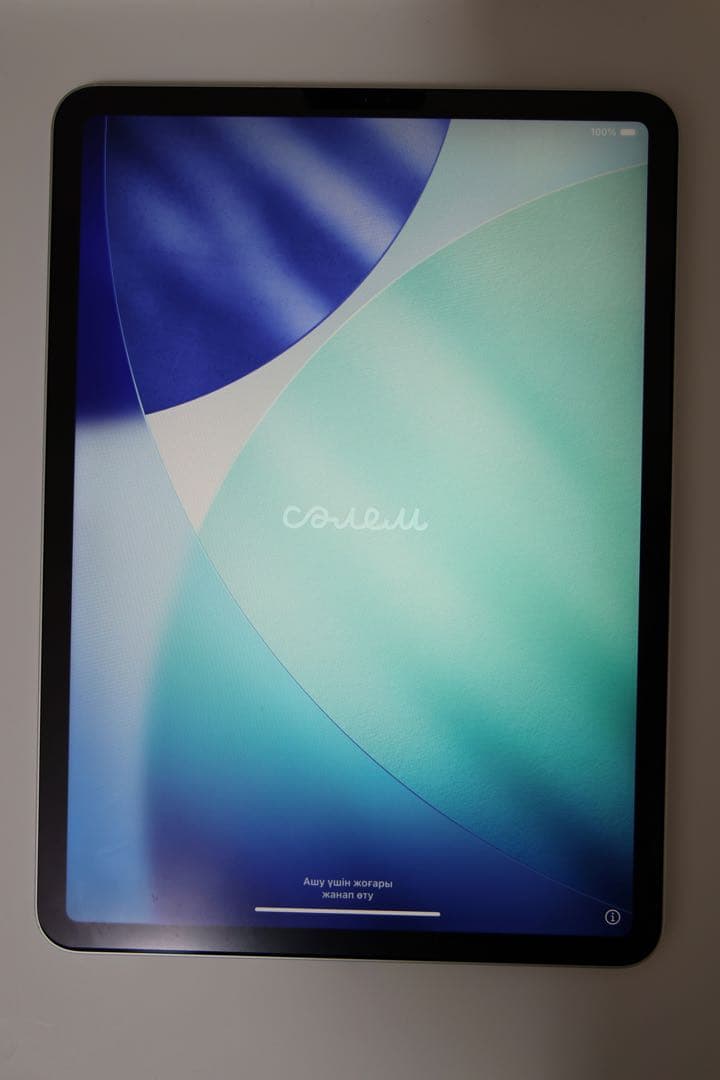 iPad Pro 11インチ 第2世代 Apple pencil第２世代セット