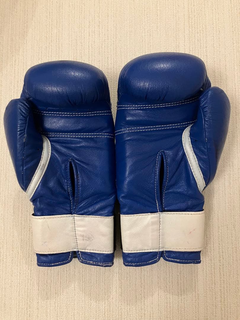 winning ウィニングボクシンググローブ ブルー 12オンス AM-12