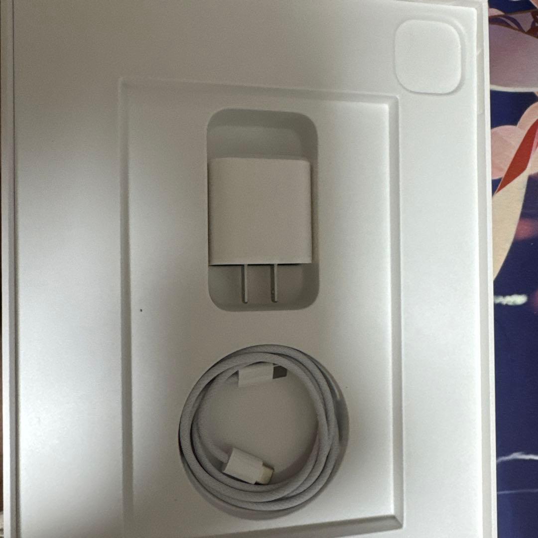 11インチ iPad Pro M4 Wi-Fi 256GB シルバー