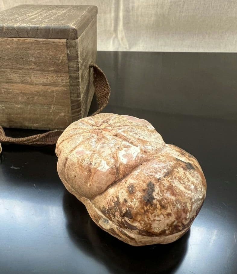 菊 香合 時代物 茶道具