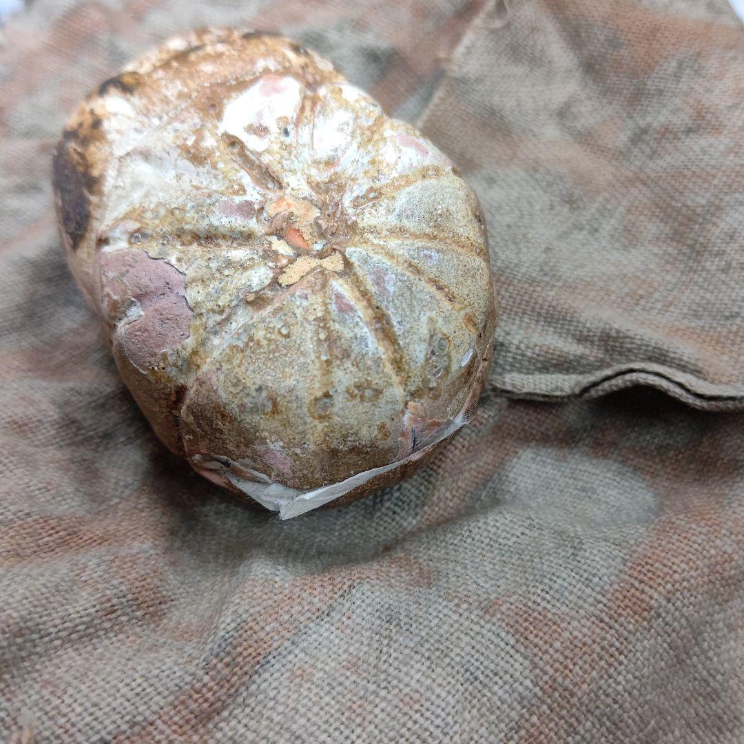 菊 香合 時代物 茶道具