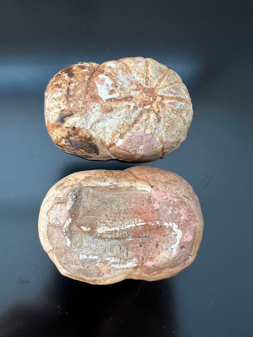 菊 香合 時代物 茶道具