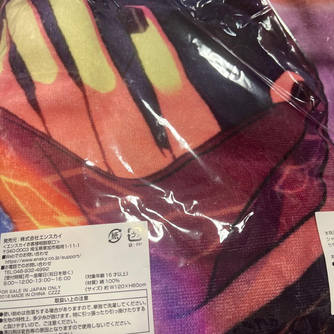 あんさんぶるスターズ 流星隊 守沢千秋 ビジュアルバスタオル