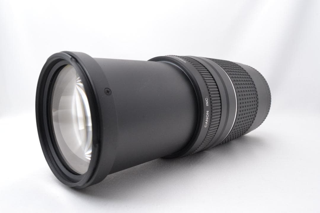 キャノン Canon EF 75-300 F4-5.6 USM Ⅲ 望遠レンズ