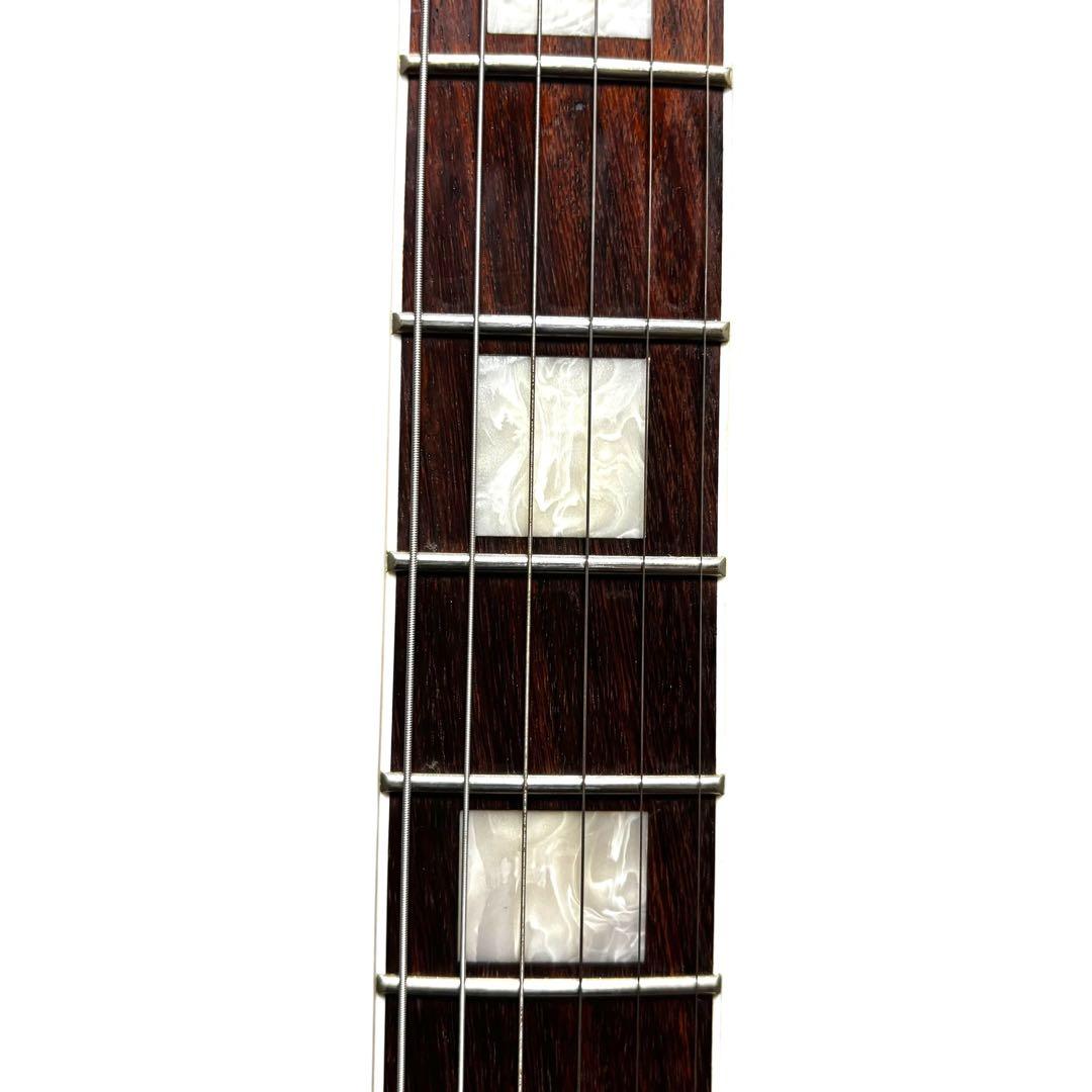 【希少】 Burny バーニー PLC-70 セミアコ ソフトケース付き