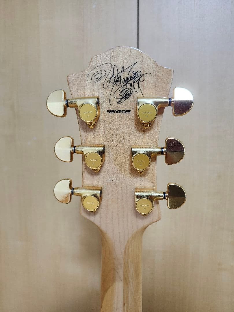 バーニー　Burny　モッキンバード　HIDEモデル　サイケ　ペイント