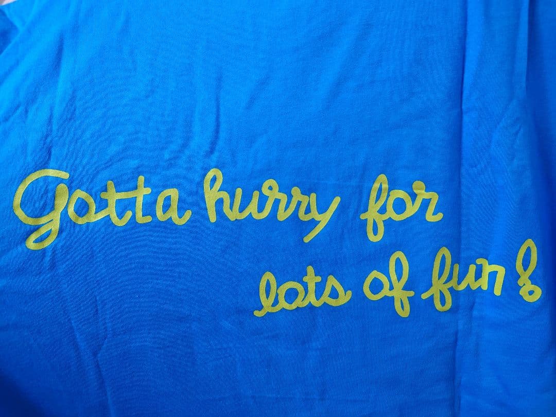 新品　未使用　Lサイズ　ドナルドダック　東京Disney　Tシャツ　2枚セット