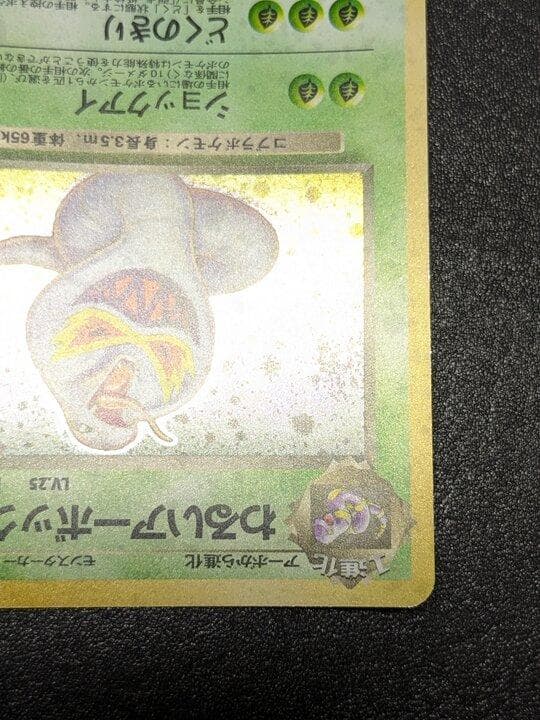 ポケモンカード 旧裏 わるいアーボック