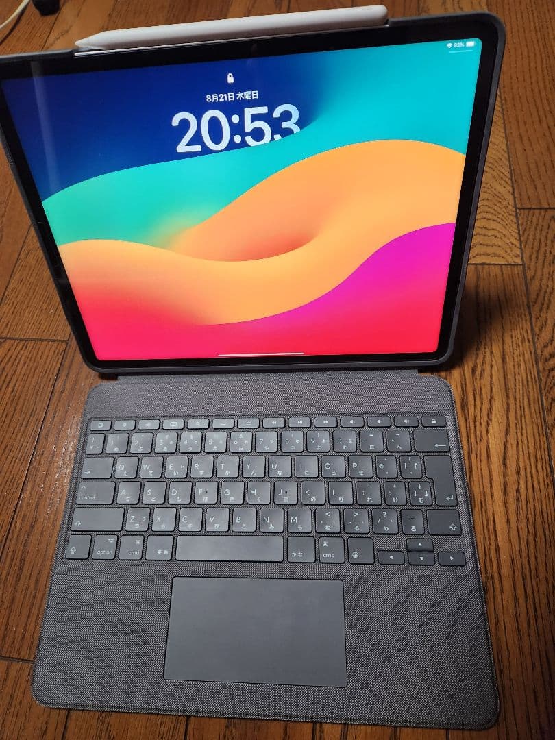 ipad pro 12.9 第6世代 512gb セルラーモデル　付属品多数