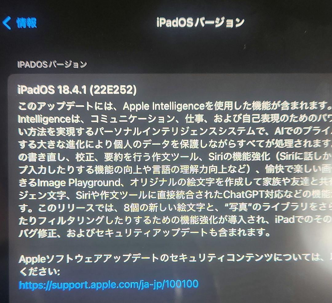 ipad pro 12.9 第6世代 512gb セルラーモデル　付属品多数