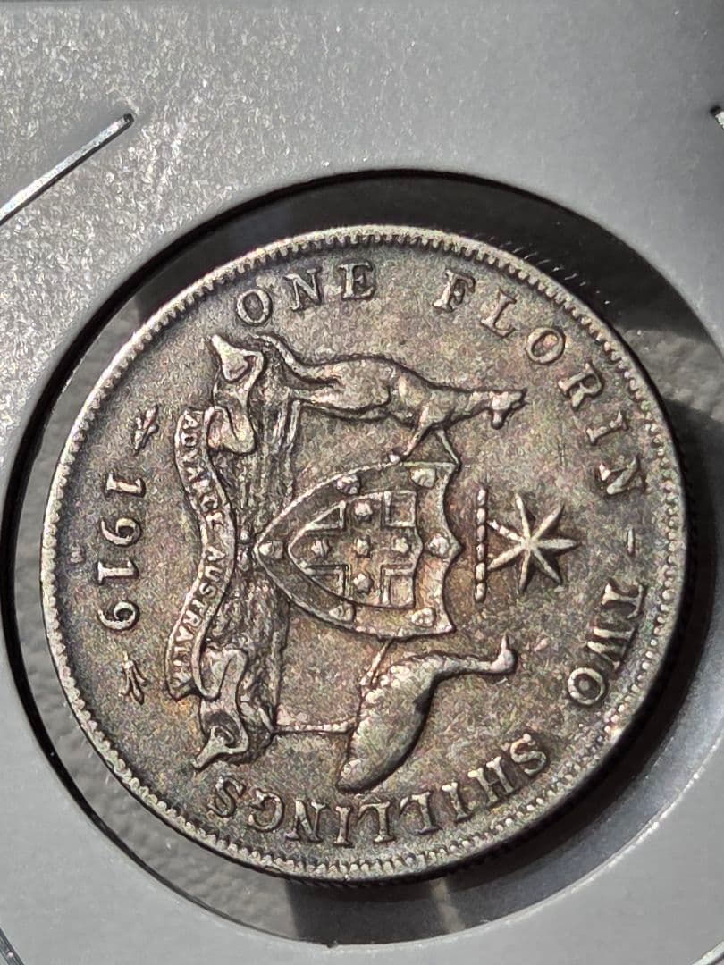 (稀少年号)オーストラリア連邦　ジョージ５世　1フローリン銀貨　1919 M