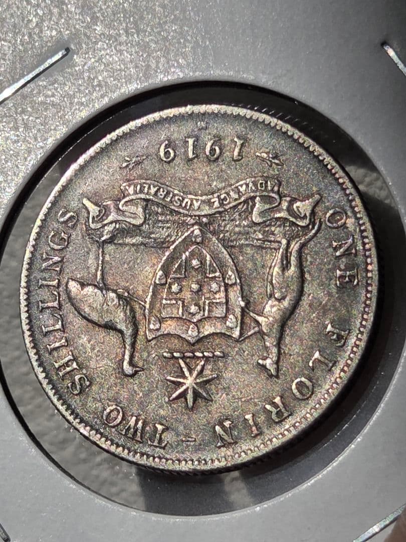 (稀少年号)オーストラリア連邦　ジョージ５世　1フローリン銀貨　1919 M