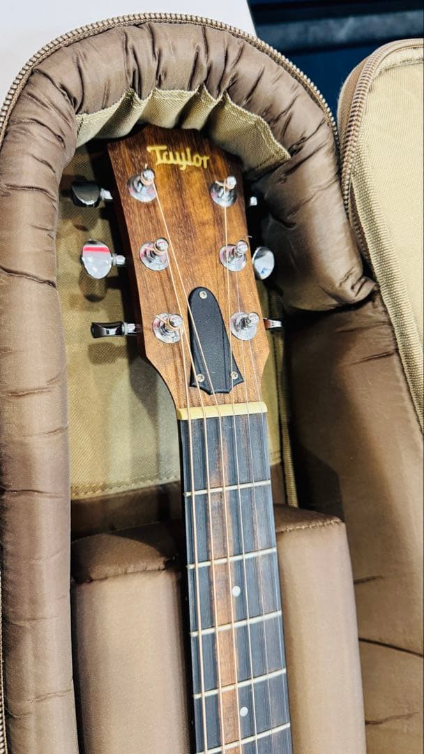 最終価格 Taylor GS Mini 限定 walnut