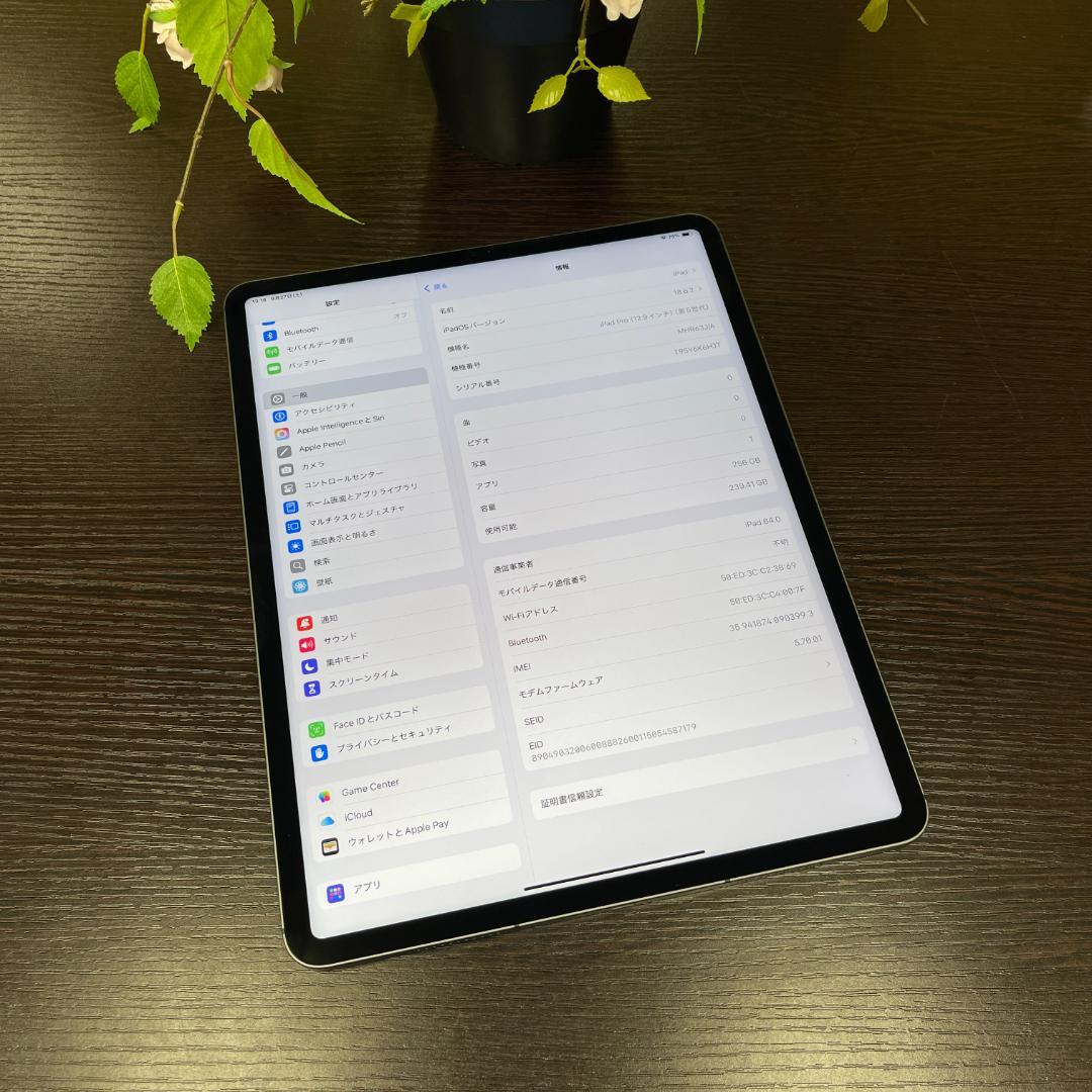 iPad Pro 12.9インチ（第5世代）M1チップ