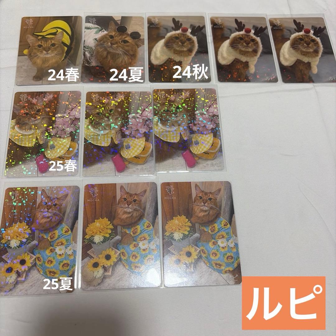 猫カフェ mocha 町田 にゃんずトレカ