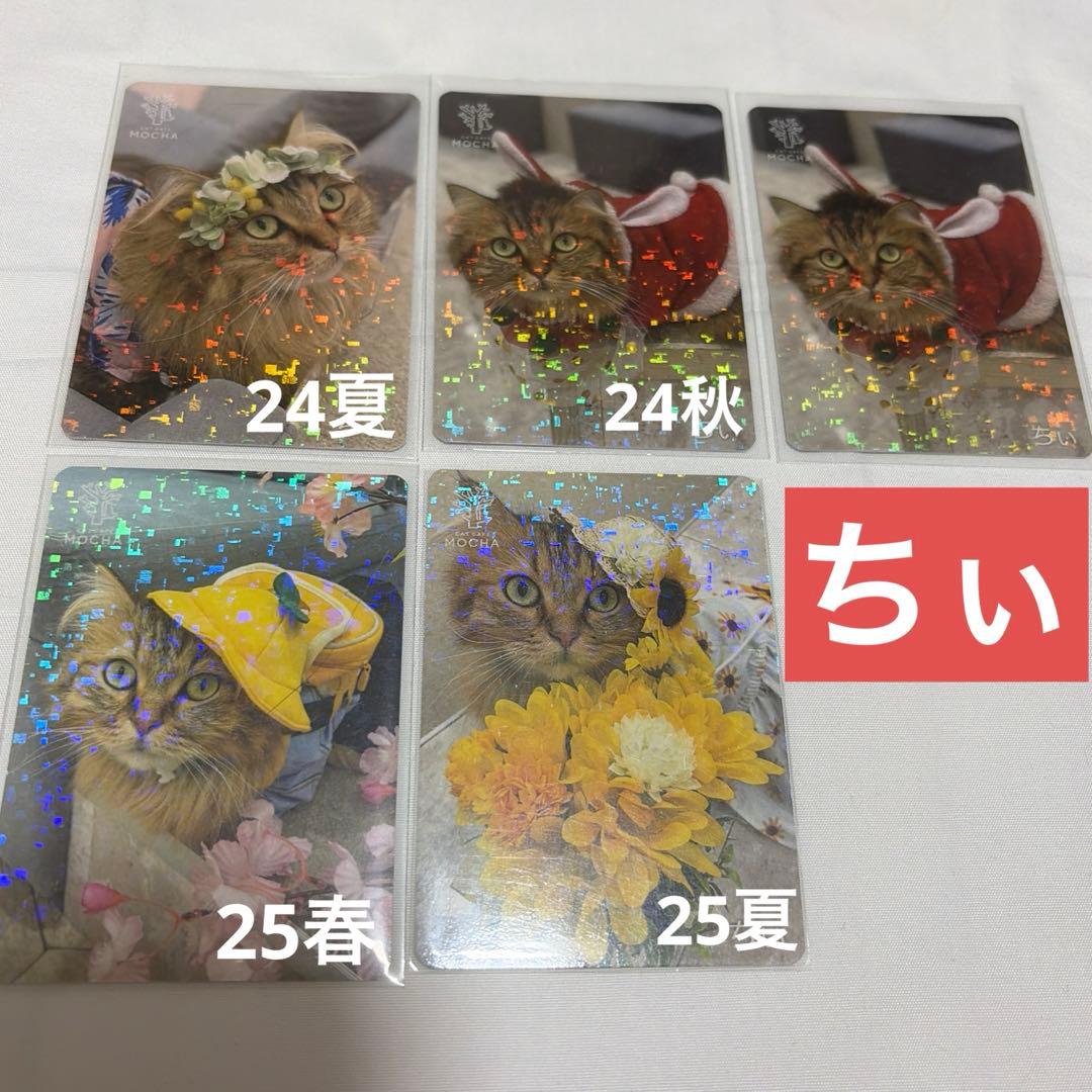 猫カフェ mocha 町田 にゃんずトレカ