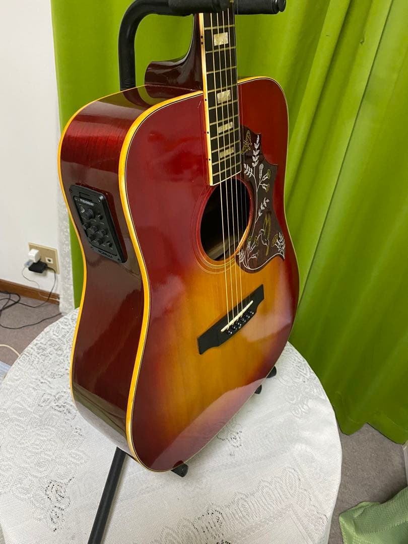 新春特価　Greco ハミングバード エレアコ　フジゲン製