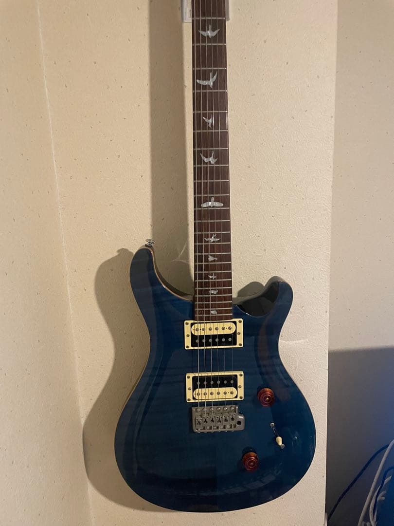 ギター PRS SE Custom 24