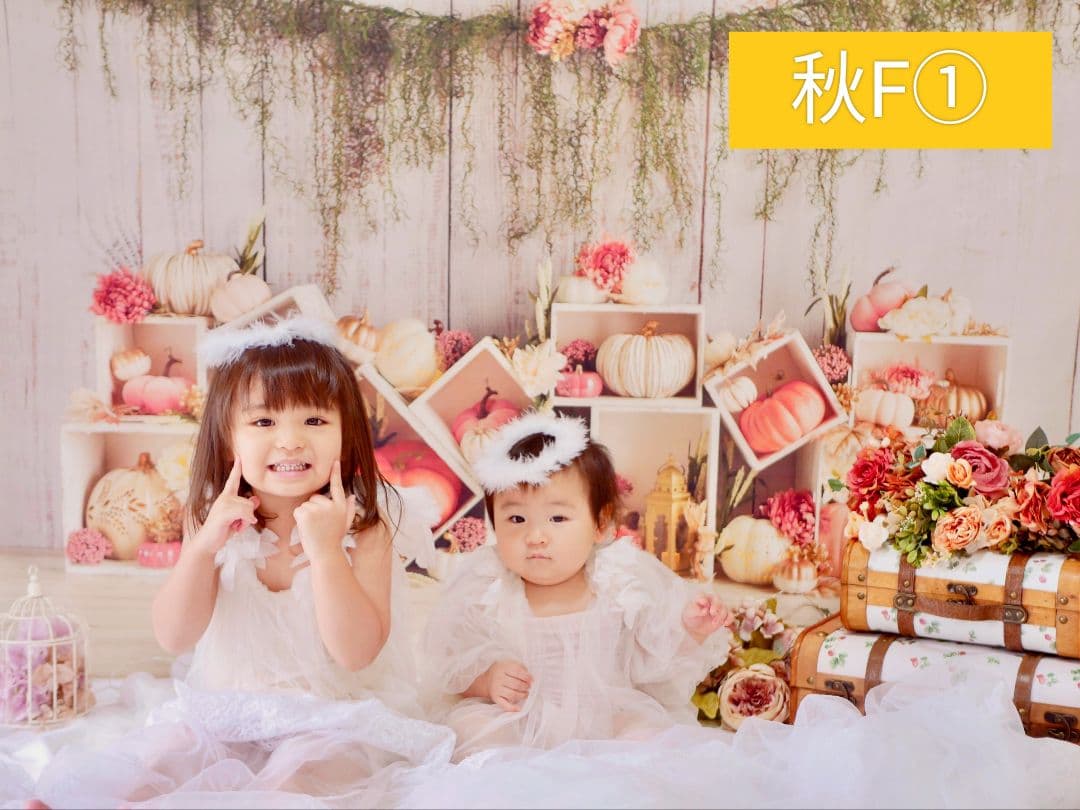 紅葉　背景布秋XD③　ペット撮影用　80×120cm　トリミングチョーカー販売中