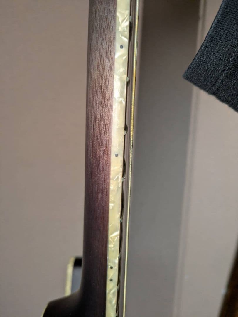 ギター ibanez TOD10N