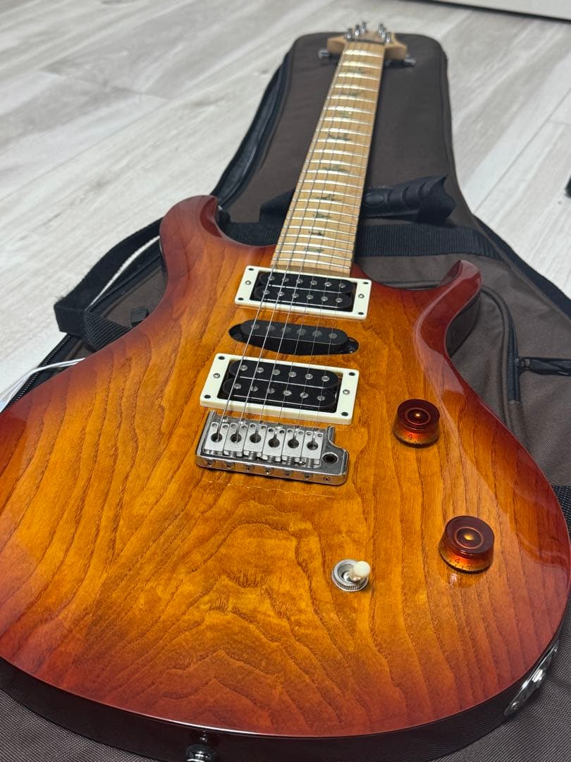 PRS SE Swamp Ash Special【中古】
