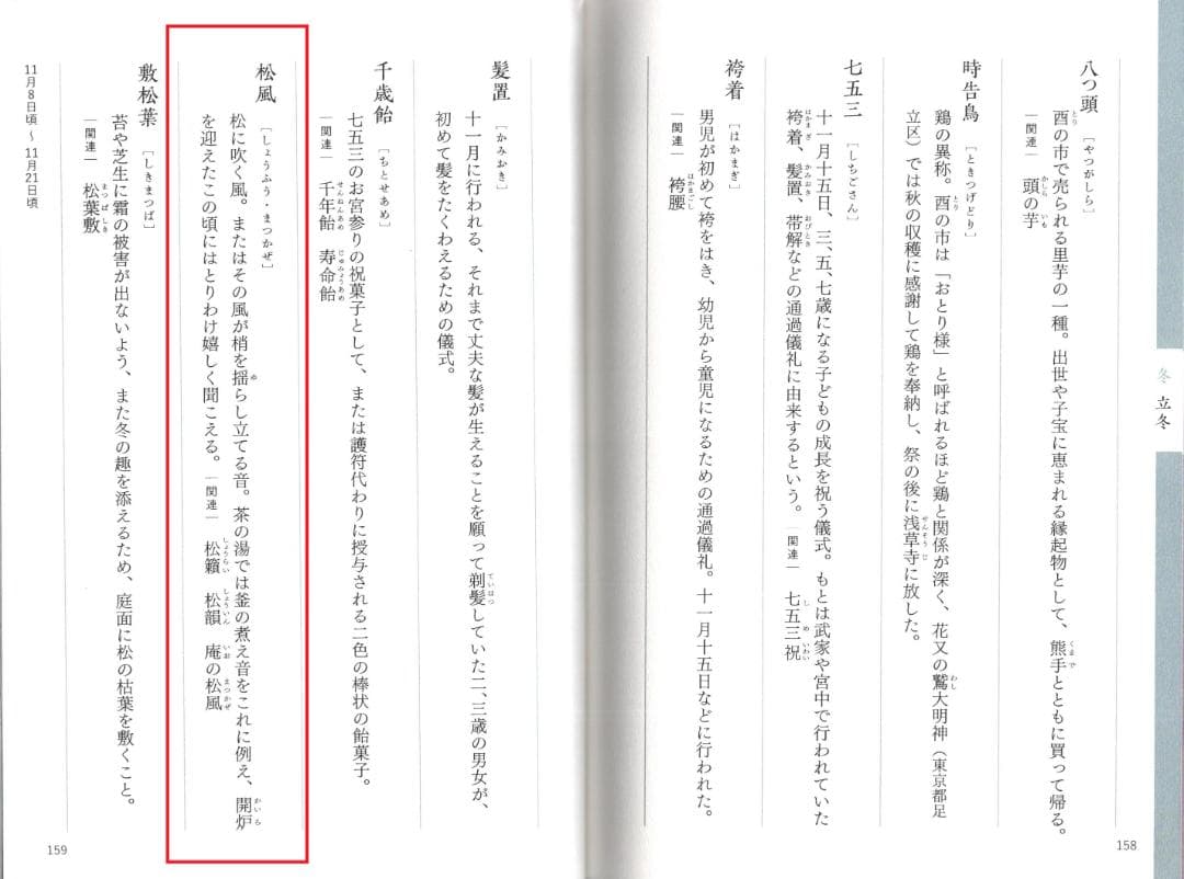 裏千家 井口海仙造『竹茶杓』銘：松風（共箱）