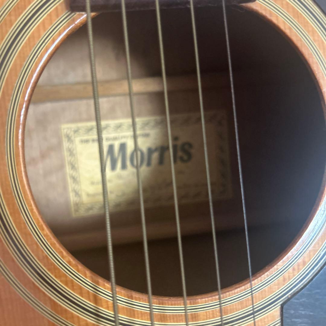【morris】【安値】アコースティックギター