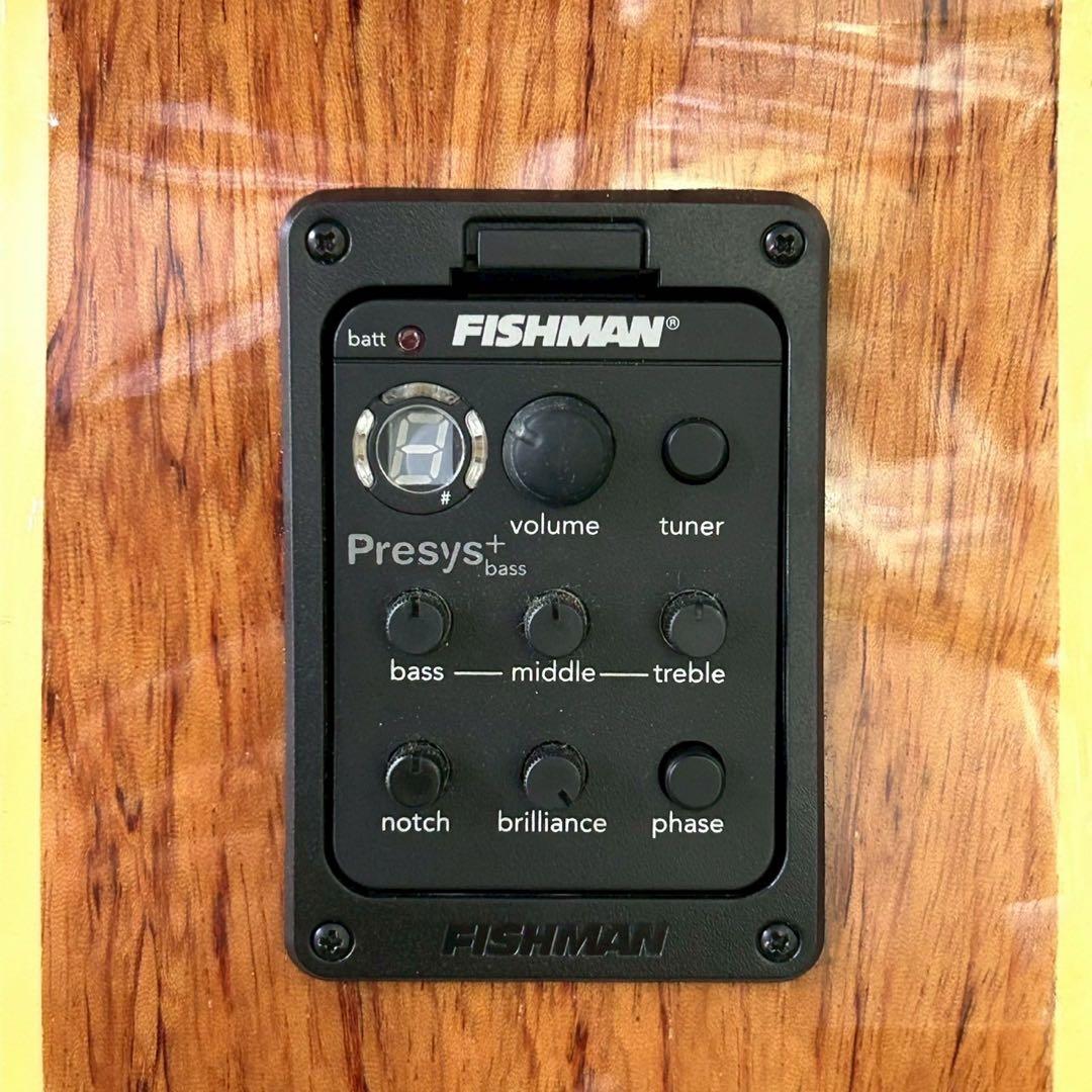 Warwick Alien Deluxe 4弦 アコースティックベース