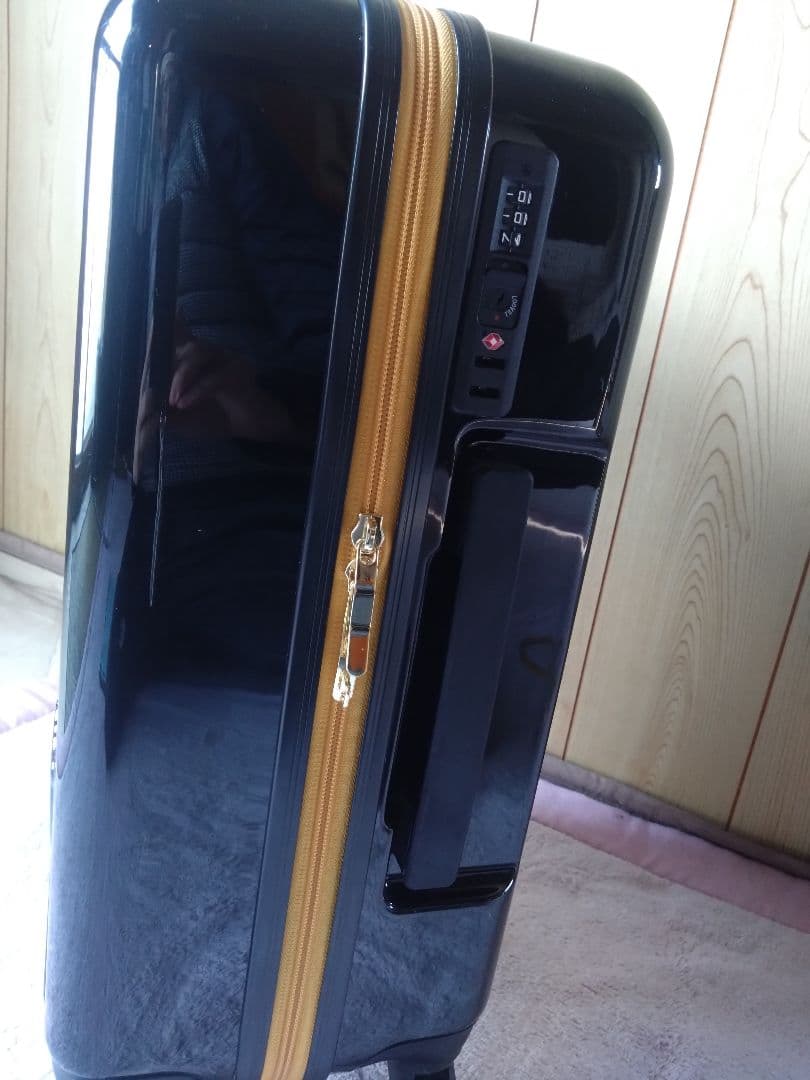 ピカチュウデザイン 中型キャリーケース ブラック