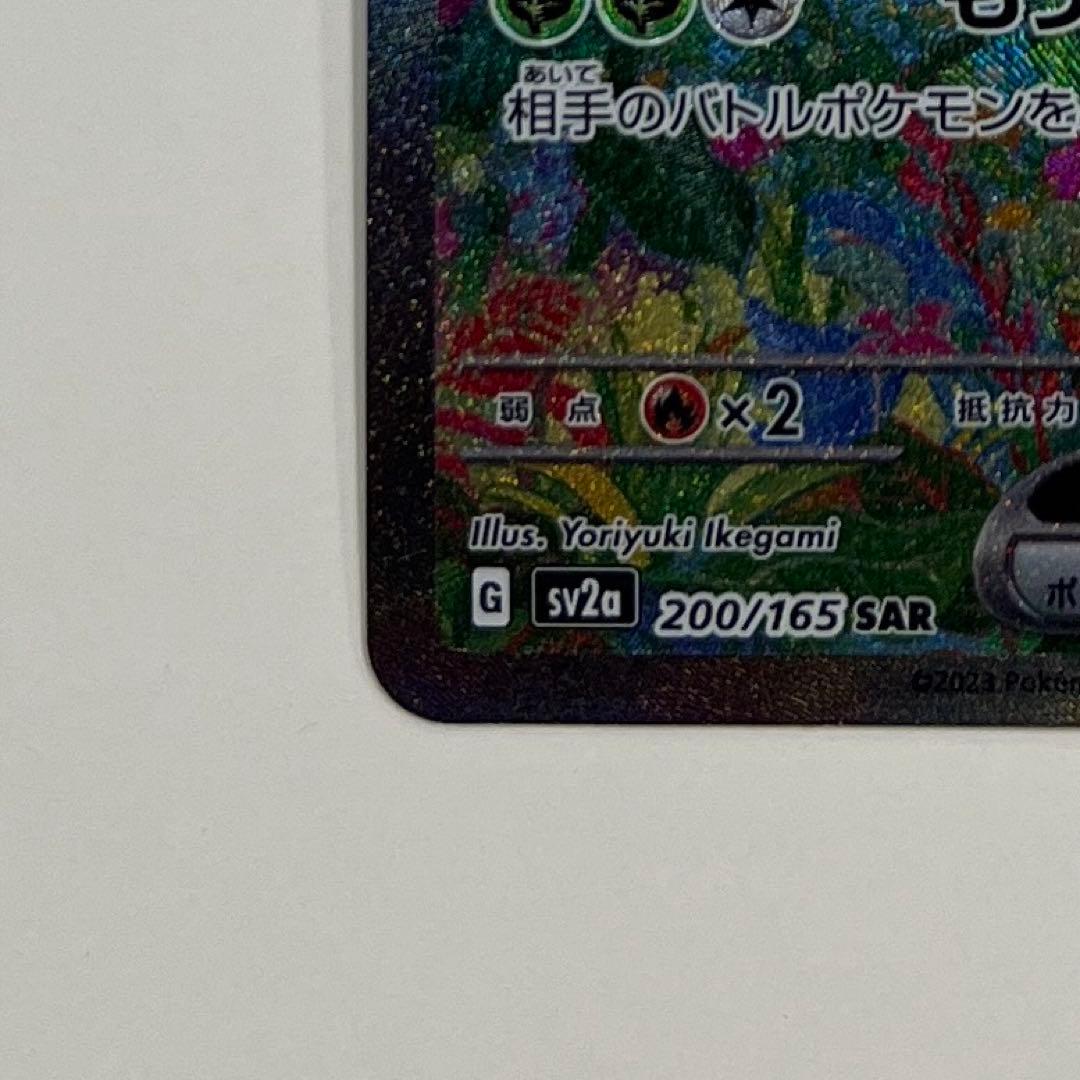 151 フシギバナ sar 美品