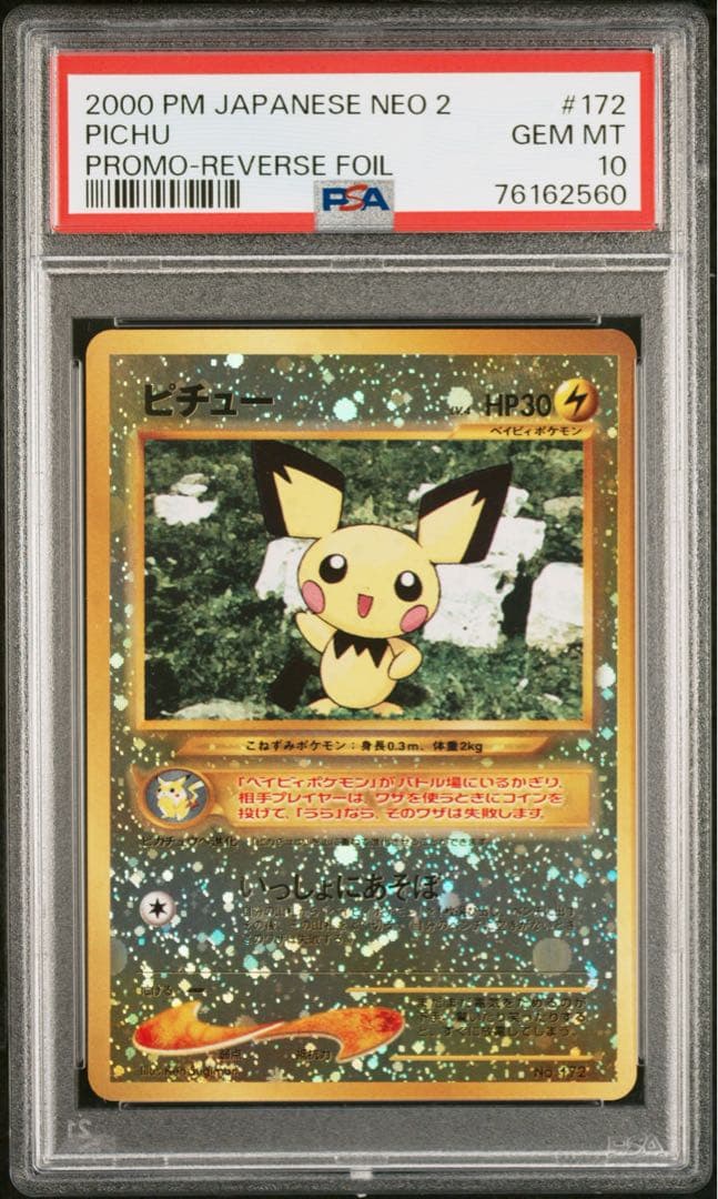 ピチュー_プレミアムファイル2 PROMO 第2世代（★neo・★VS・★we…