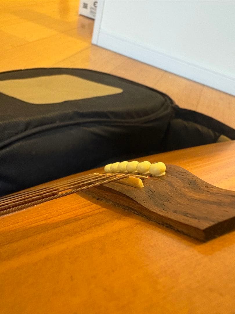 エレアコ　ギター seagull Amber Trail シーガル