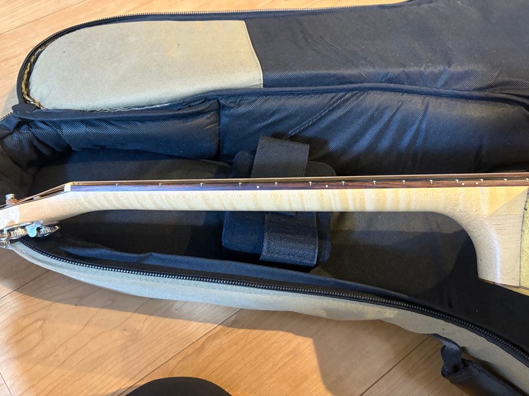 エレアコ　ギター seagull Amber Trail シーガル