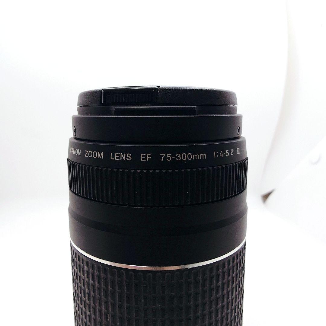 デジタル一眼レフカメラ/Canon EF 75-300㎜ 1:4-5.6 Ⅱ
